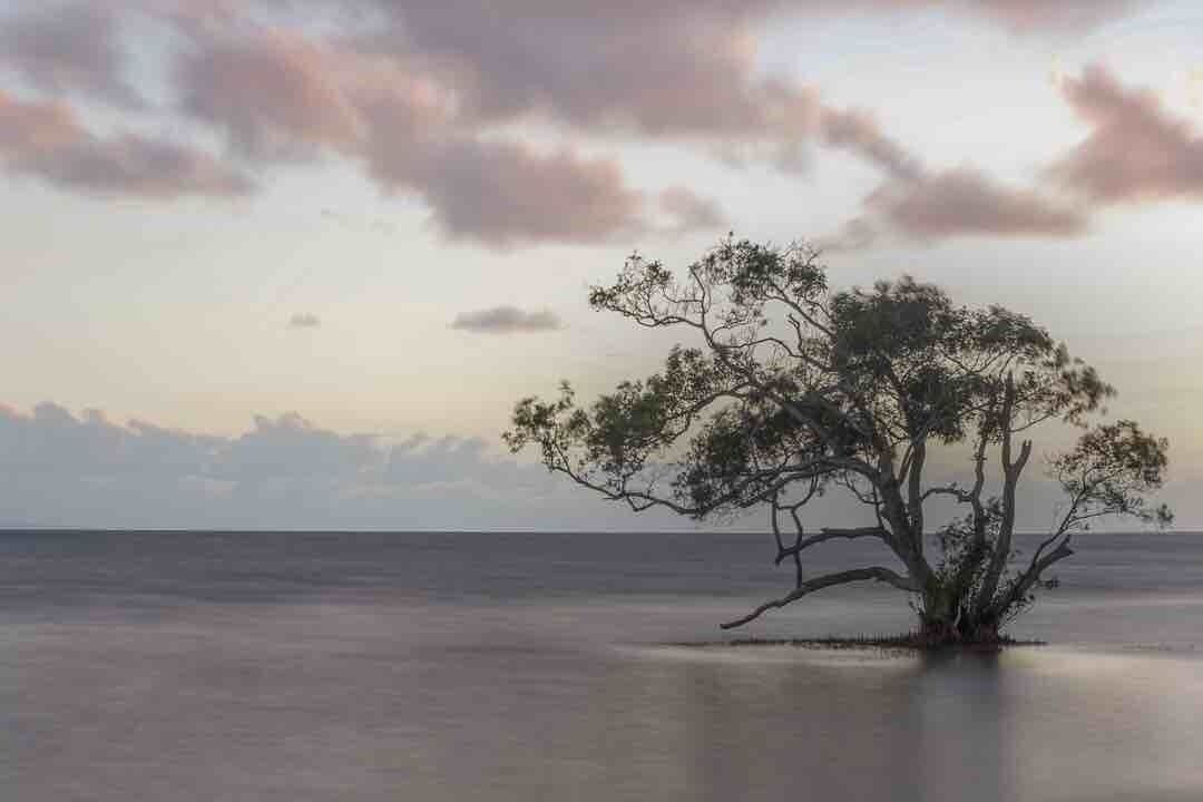 Zillmere